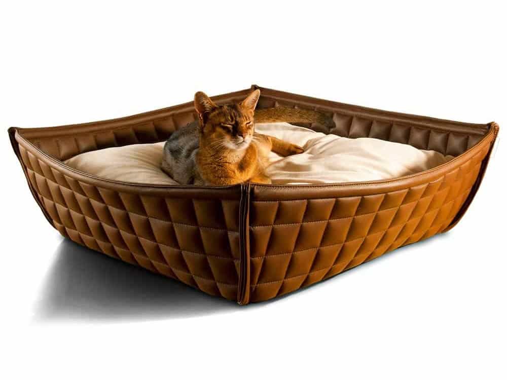 Abyssinian cat in classic leather cat basket by pet-interiors.
